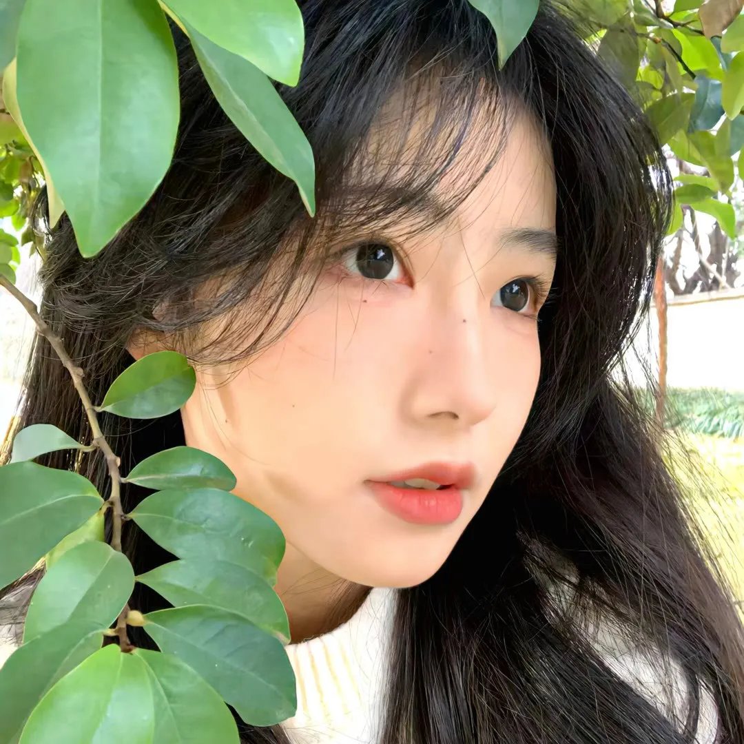 流星花园海报